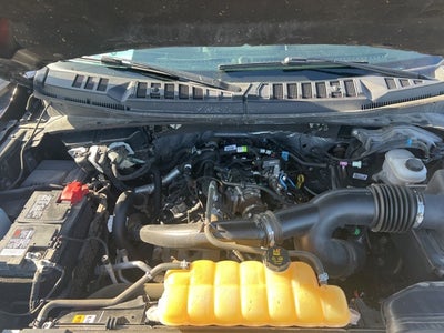 2020 Ford F-150 XLT 5 1/2 Ft Box