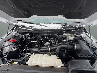 2024 Ford F-150 XLT 5 1/2 Ft Box