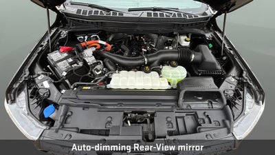 2025 Ford F-150 Platinum 5 1/2 FT BOX