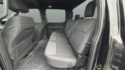 2023 Ford F-150 XL STX